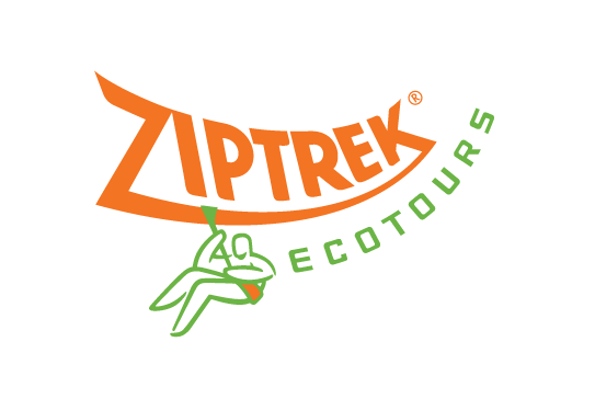 Ziptrek Eco Tours